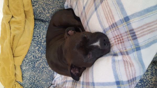 /Images/uploads/Humane Society of Utah/HSUCalendar/entries/1075thumb.jpg